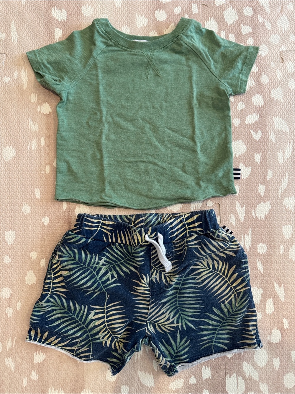 Splendid Boys Tropical Palm Print Shorts & Green Tee Set 18-24M